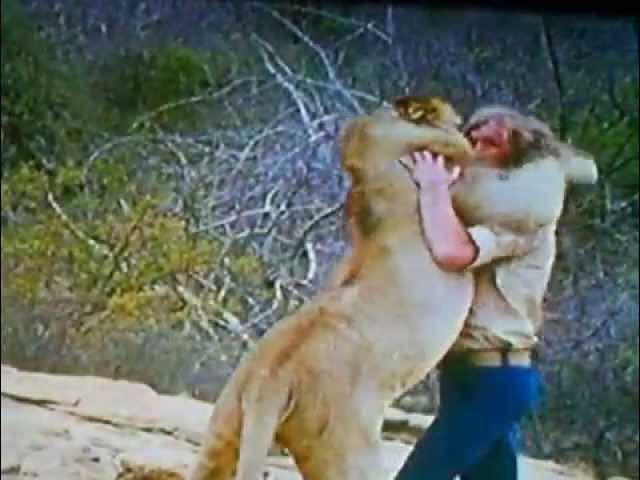 The reunion between the lion and its former owners has garnered 100 million views. In 1969, two young Australians, John Rendall and Anthony “Ace” Bourke