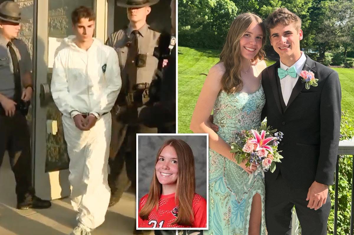 The Heintz family reported the matter to the police after being unable to contact her. Police quickly noticed numerous irregularities and inconsistencies in D’Amato’s initial statements when questioned about his girlfriend’s whereabouts