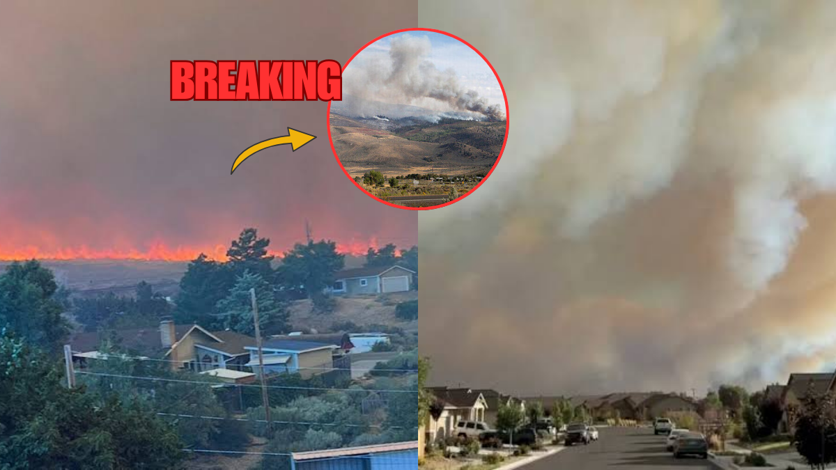 42,000 Evacuated as Human-Caused Hawk Fire Reaches Edge of Reno – State of Emergency Declared